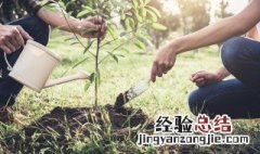 植树标语带修辞手法的句子 用修辞手法写植树节宣传标语