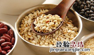 薏米怎么吃最好最方便 薏米的烹饪方法