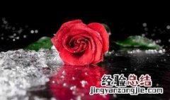 11朵红色玫瑰花花语是什么? 11朵红玫瑰花语是什么