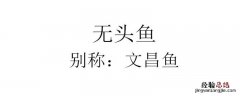 无头鱼到底是啥鱼 无头鱼是哪里的