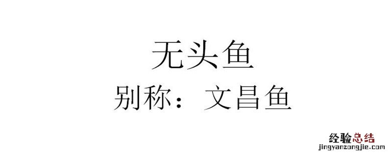 无头鱼到底是啥鱼 无头鱼是哪里的