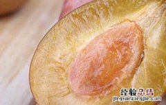 西梅的营养价值 西梅的营养价值有哪些