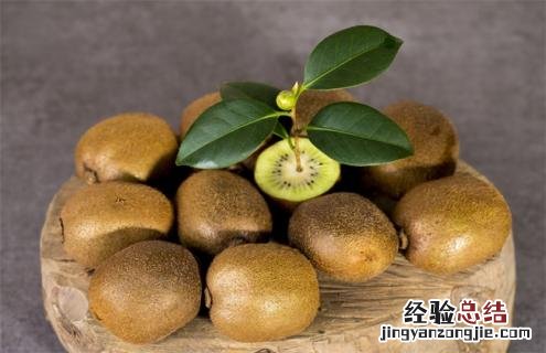 猕猴桃种类介绍及图片大全 猕猴桃种类介绍及图片大全大图