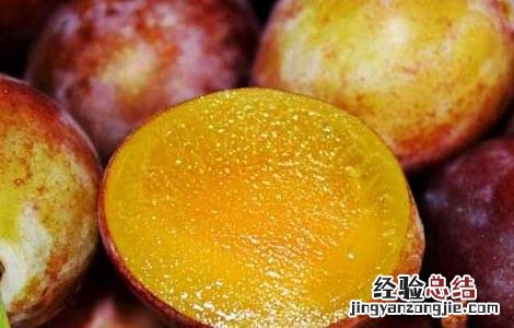 西梅的功效与作用及食用方法 西梅的功效与作用