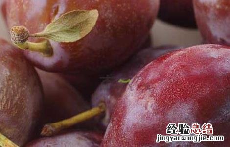 西梅的功效与作用及食用方法 西梅的功效与作用
