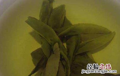苦丁茶的功效与作用 苦丁茶的功效与作用及副作用