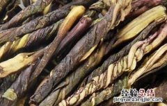 苦丁茶的功效与作用 苦丁茶的功效与作用及副作用