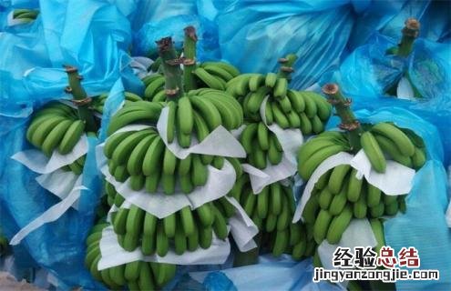 香蕉常见种类图片名称 香蕉分几种图片
