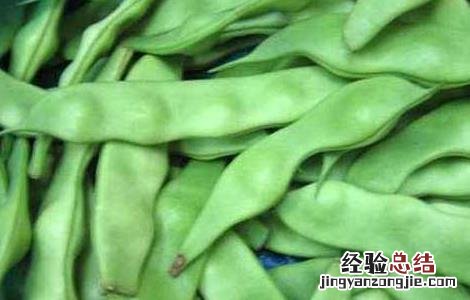 刀豆的功效与作用图片 刀豆的功效与作用