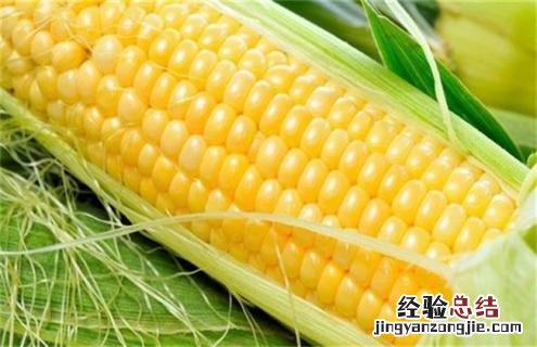 玉米种类图片大全图片 玉米常见的种类及图片