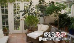 家里不能种什么树,图片 家里不能种什么树