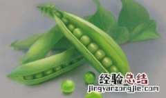 青豆虫怎么养殖繁育方法 青豆虫怎么养殖繁育?