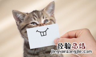 笑的英语单词怎么读 笑的英语单词是什么