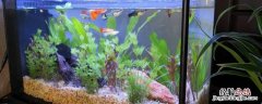 鱼缸水泵晚上可以关吗小 鱼缸水泵晚上可以关吗