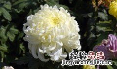 99重阳节祝福语简短 九九重阳节祝福语
