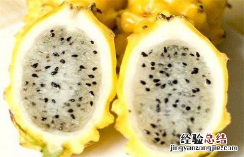 火龙果常见种类及图片 火龙果常见种类及图片及名称