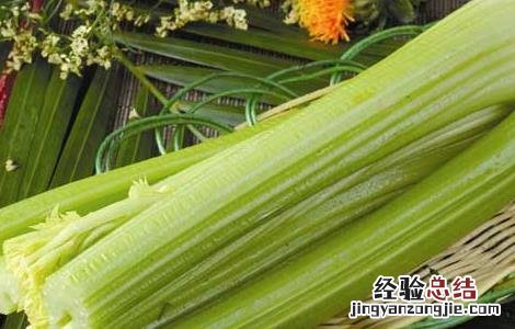 西芹的营养价值表 西芹的营养价值