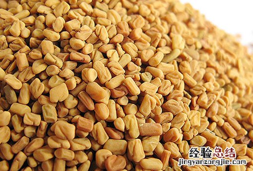 葫芦巴碱 葫芦巴
