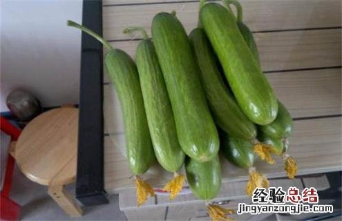 黄瓜常见的种类及图片介绍 黄瓜常见的种类及图片