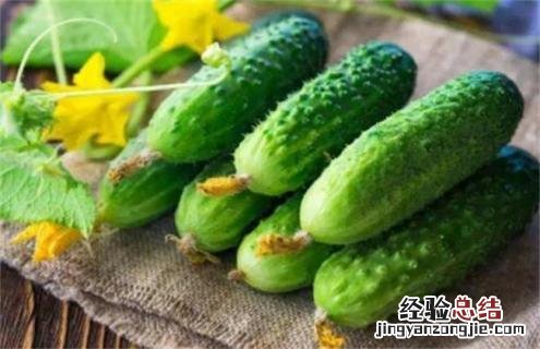 黄瓜常见的种类及图片介绍 黄瓜常见的种类及图片