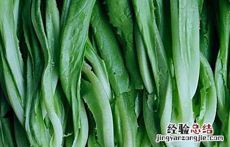 油麦菜的营养价值及功效 油麦菜的营养价值