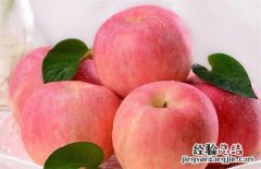 苹果的种类名称及图片大全集 苹果常见种类图片大全