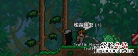 泰拉瑞亚松露虫怎么刷1.4 泰拉瑞亚松露虫怎么刷