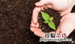 泥组词和拼音 泥组词有哪些