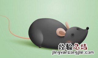 家里有老鼠消灭最快方法 家里有老鼠消灭最快方法推荐