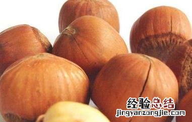 榛子的功效与作用及营养价值 榛子的功效与作用
