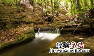 赞美小溪风景的句子简短 赞美小溪风景的句子