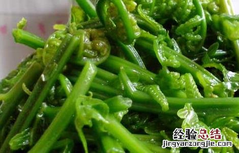 蕨菜的功效与作用及营养价值 蕨菜的功效与作用