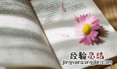 锓怎么读 怎么读锓