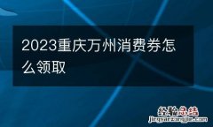 2023重庆万州消费券怎么领取