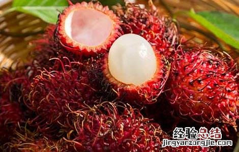 红毛丹的营养价值及功效 红毛丹的营养价值
