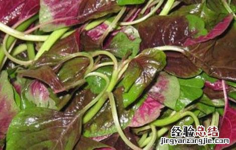 苋菜的营养价值是什么 苋菜的营养价值