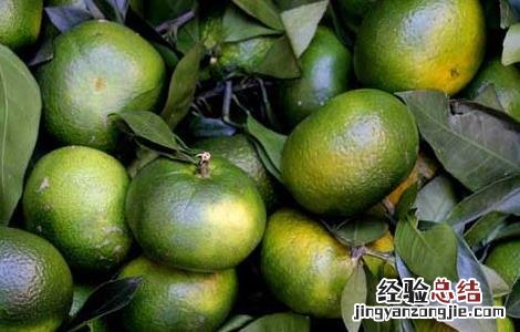 新冠吃橘子有什么好处 吃橘子有什么好处