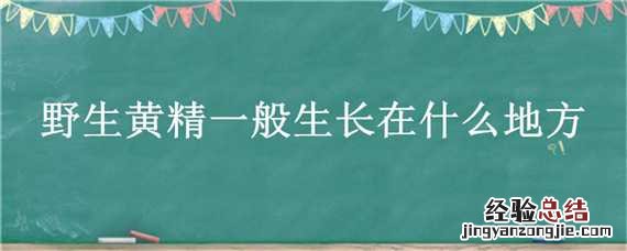 野生黄精一般生长在什么地方最多 野生黄精一般生长在什么地方