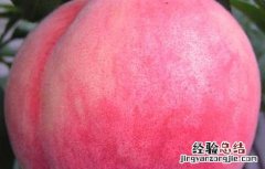 水蜜桃的营养价值是什么 水蜜桃的营养价值