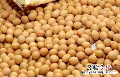 大豆异黄酮的功效与作用及禁忌 大豆异黄酮的功效与作用