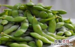 毛豆的营养价值和危害 毛豆的营养价值