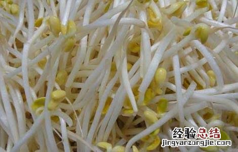 牛肉炖黄豆芽的营养价值 黄豆芽的营养价值
