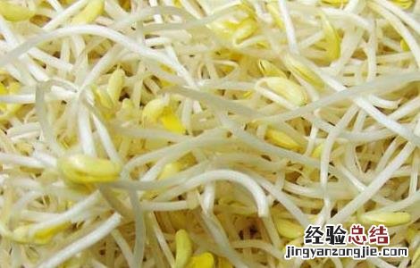 牛肉炖黄豆芽的营养价值 黄豆芽的营养价值