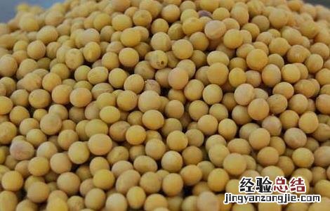 黄豆的营养价值及功效与作用 黄豆的营养价值
