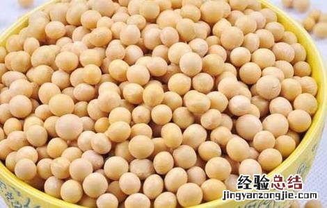 黄豆的营养价值及功效与作用 黄豆的营养价值