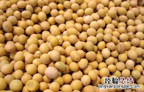 黄豆的营养价值及功效与作用 黄豆的营养价值