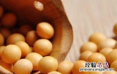大豆卵磷脂的功效与作用 大豆卵磷脂的功效与作用及副作用