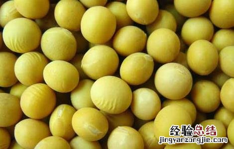 大豆卵磷脂的功效与作用 大豆卵磷脂的功效与作用及副作用