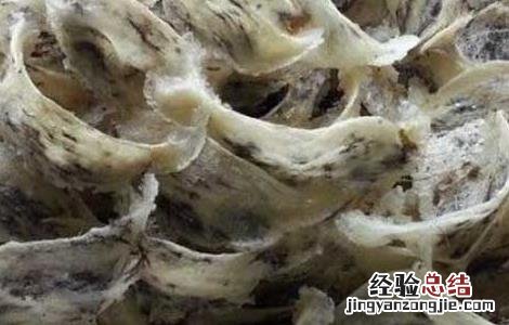 燕窝有什么副作用 燕窝有啥副作用