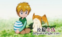 数码宝贝猫几集出现 TV版剧情简介